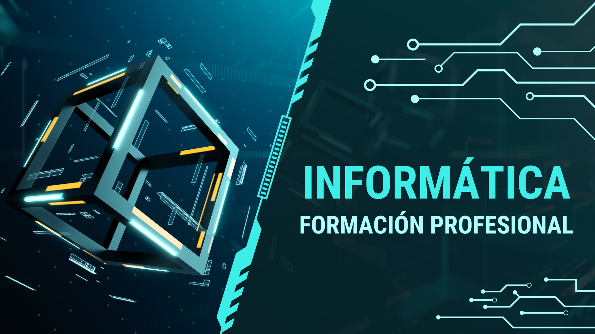 elige una profesión con futuro
